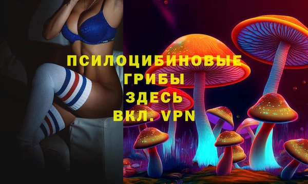 стафф Богданович